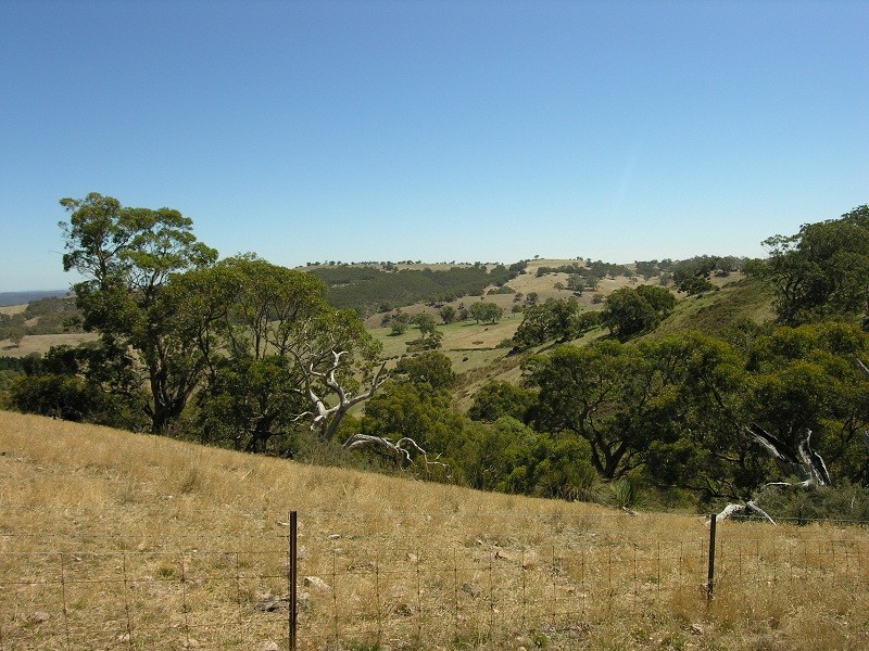 Lot 110 Tower Road, Pewsey Vale SA 5351