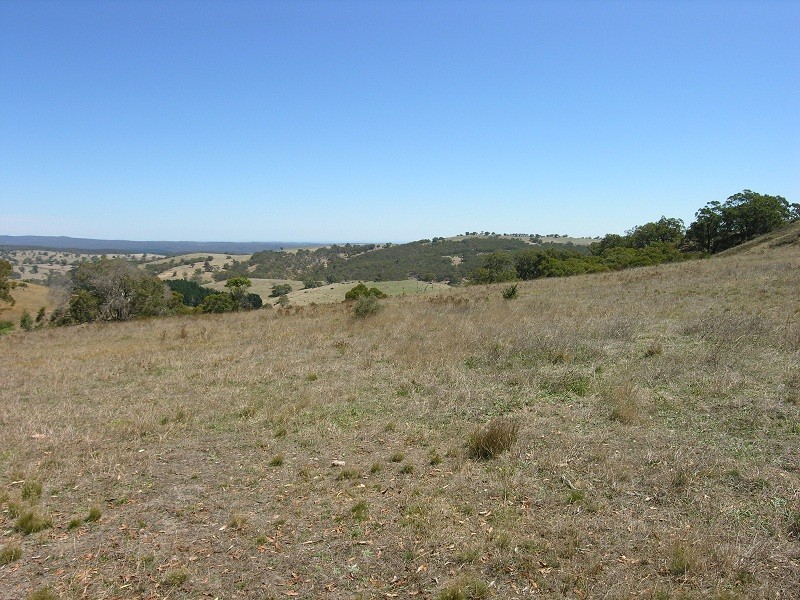 Lot 110 Tower Road, Pewsey Vale SA 5351