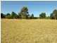 Lot 11 Williamstown Road, Cockatoo Valley SA 5351