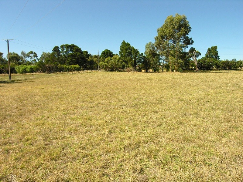 Lot 11 Williamstown Road, Cockatoo Valley SA 5351