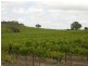 Lot 164 Jutland Road, Springton SA 5235