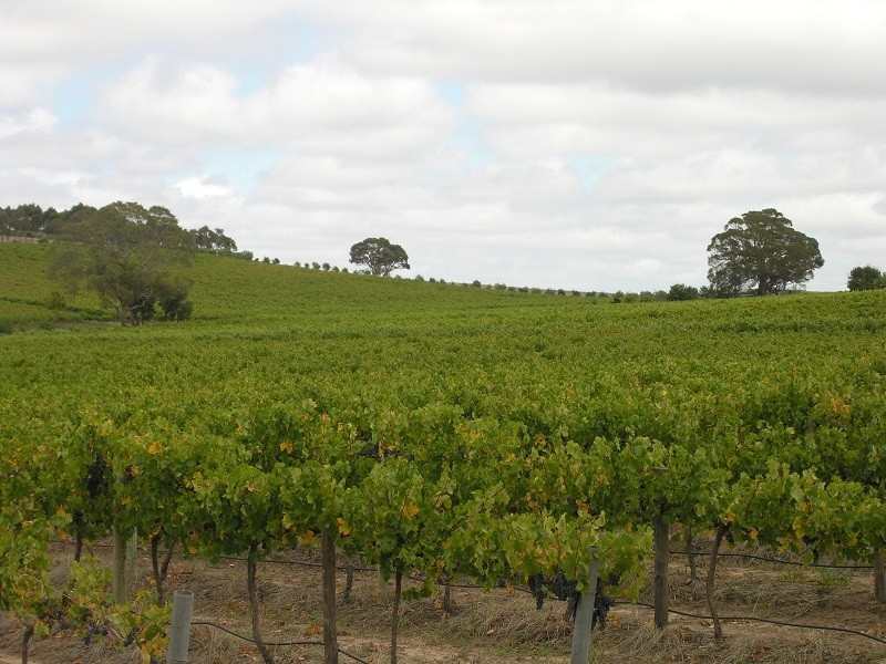 Lot 164 Jutland Road, Springton SA 5235