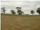 Lot 164 Jutland Road, Springton SA 5235