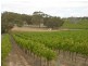 Lot 164 Jutland Road, Springton SA 5235