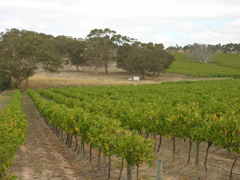 Lot 164 Jutland Road, Springton SA 5235