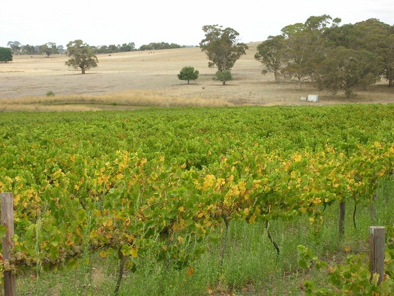Lot 164 Jutland Road, Springton SA 5235