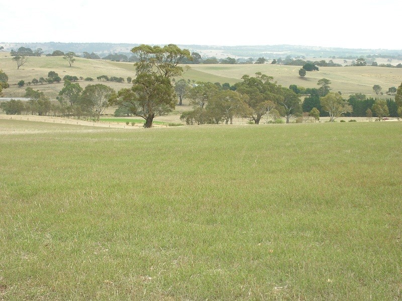 Lot 164 Jutland Road, Springton SA 5235