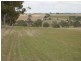 Lot 164 Jutland Road, Springton SA 5235