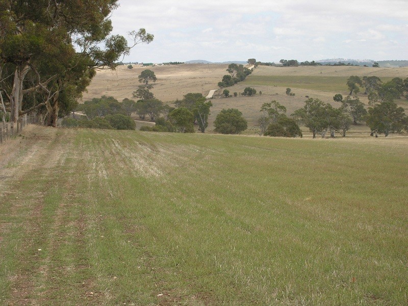 Lot 164 Jutland Road, Springton SA 5235