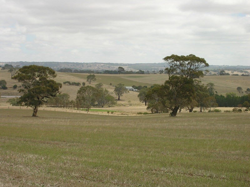 Lot 164 Jutland Road, Springton SA 5235