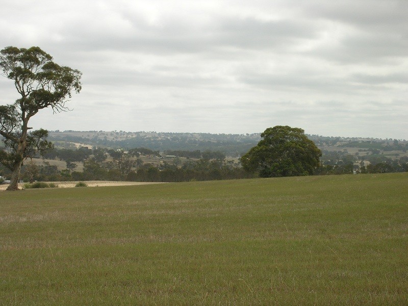 Lot 164 Jutland Road, Springton SA 5235