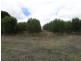 Lot 164 Jutland Road, Springton SA 5235