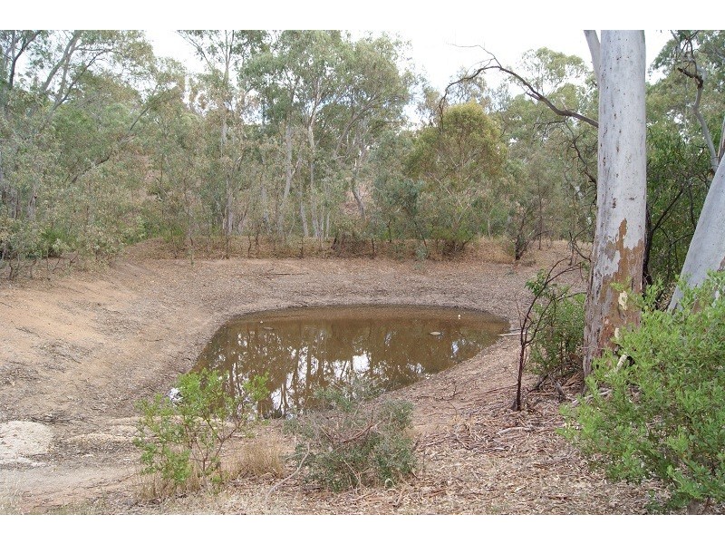 Lot 5 Speck Road, Cockatoo Valley SA 5351