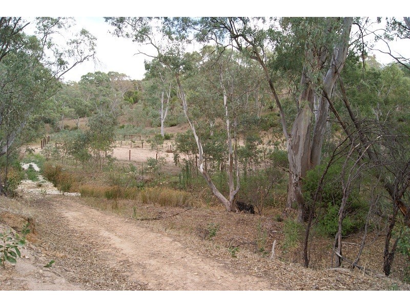 Lot 5 Speck Road, Cockatoo Valley SA 5351