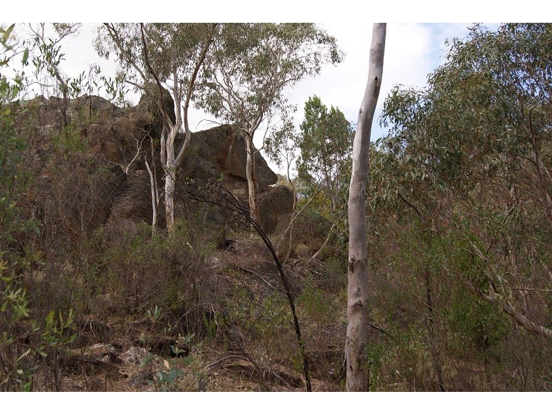 Lot 5 Speck Road, Cockatoo Valley SA 5351