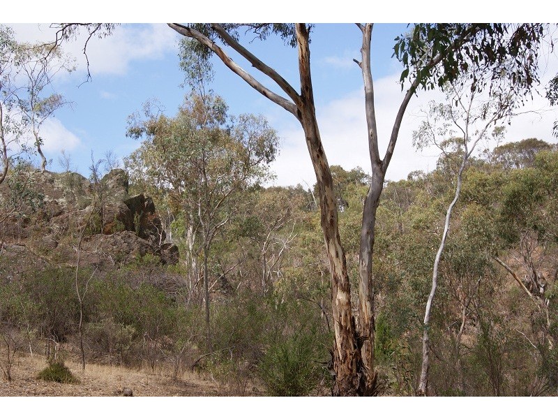 Lot 5 Speck Road, Cockatoo Valley SA 5351