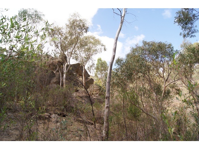 Lot 5 Speck Road, Cockatoo Valley SA 5351