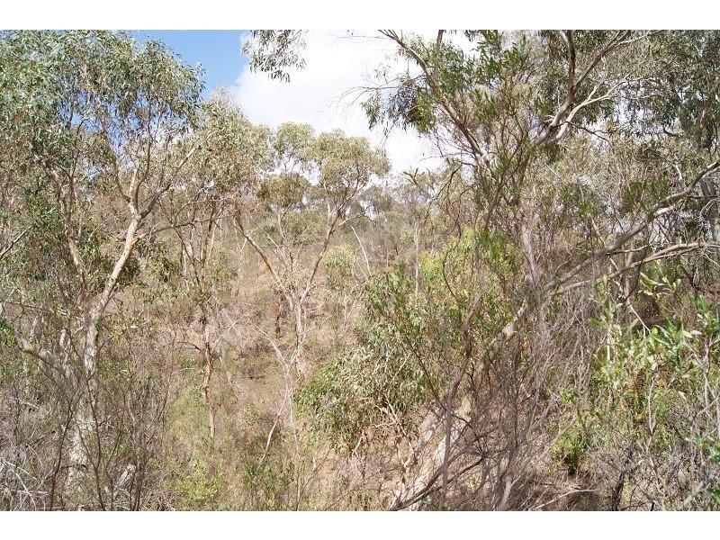 Lot 5 Speck Road, Cockatoo Valley SA 5351