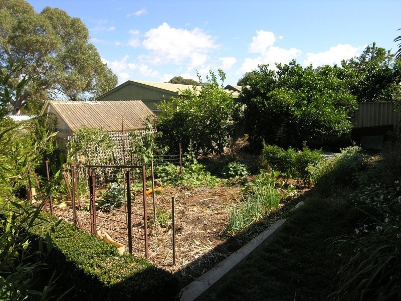 31 McKinlay Avenue, Gawler East SA 5118