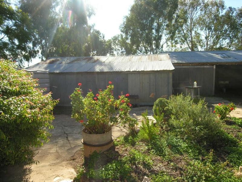 Lot 196 Williamstown Road, Cockatoo Valley SA 5351