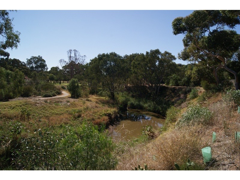 17 Edith Street, Gawler East SA 5118