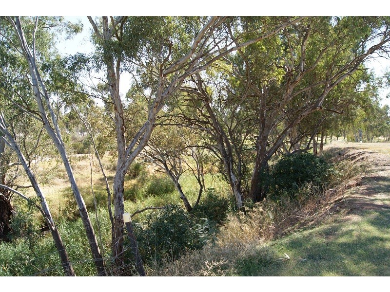 17 Edith Street, Gawler East SA 5118