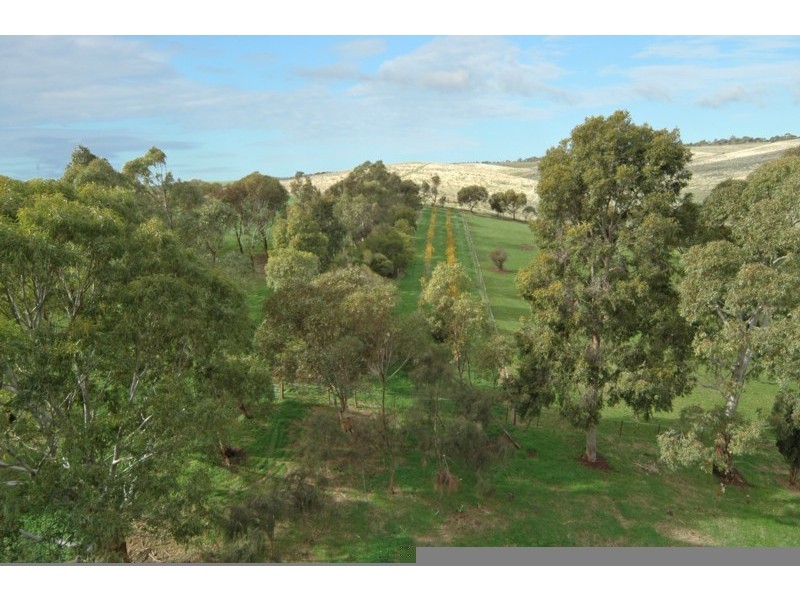 6 Chapman Drive, Uleybury SA 5114