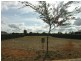 Lot 31 Laucke Drive, Stockwell SA 5355