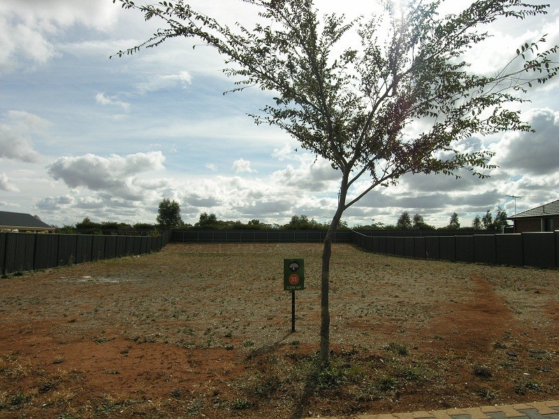 Lot 31 Laucke Drive, Stockwell SA 5355