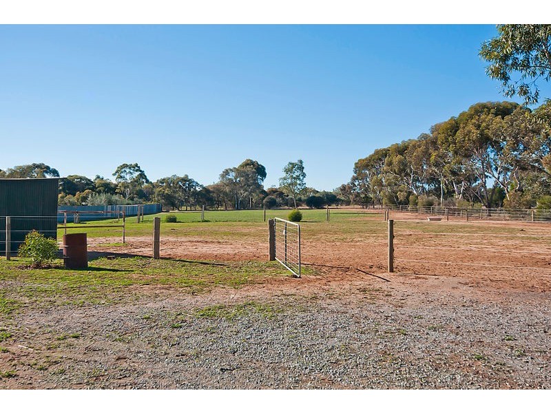 34 Aunger Road, Lewiston SA 5501