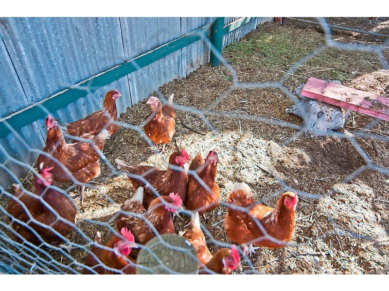 34 Aunger Road, Lewiston SA 5501