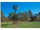 Lots 1-25 Woodlands Road, Cockatoo Valley SA 5351