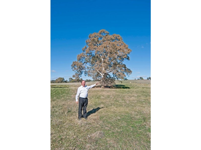 Lots 1-25 Woodlands Road, Cockatoo Valley SA 5351