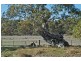 Lots 1-25 Woodlands Road, Cockatoo Valley SA 5351