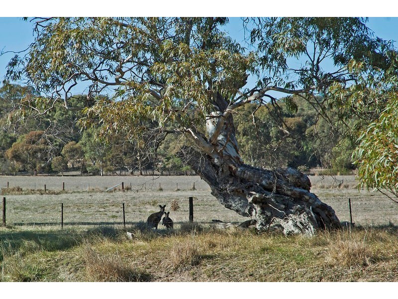 Lots 1-25 Woodlands Road, Cockatoo Valley SA 5351