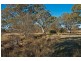 Lots 1-25 Woodlands Road, Cockatoo Valley SA 5351