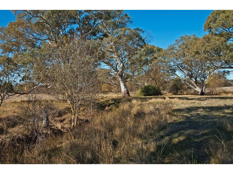 Lots 1-25 Woodlands Road, Cockatoo Valley SA 5351