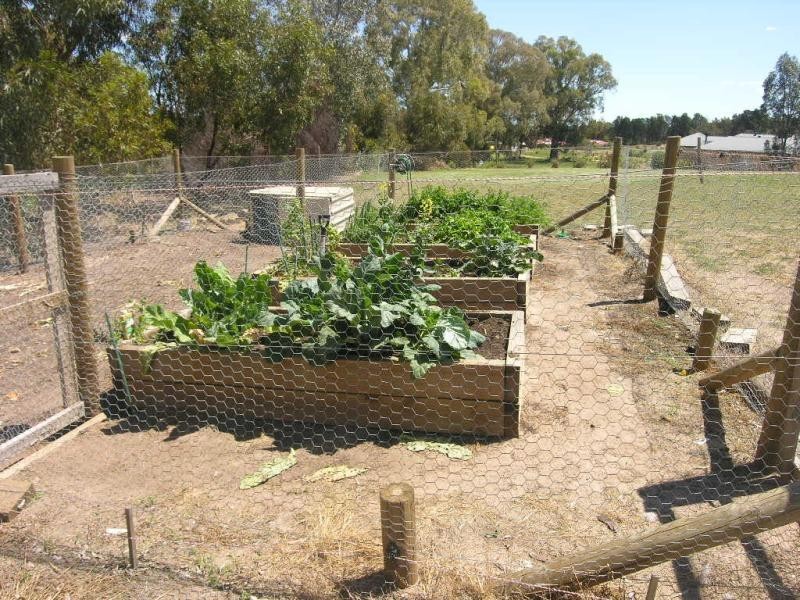 Lot 16 Skurray Court, Cockatoo Valley SA 5351