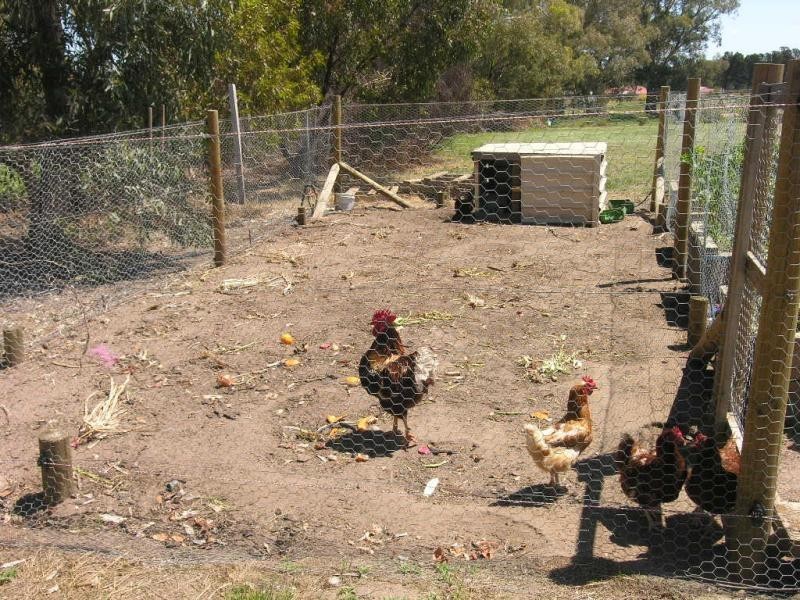 Lot 16 Skurray Court, Cockatoo Valley SA 5351