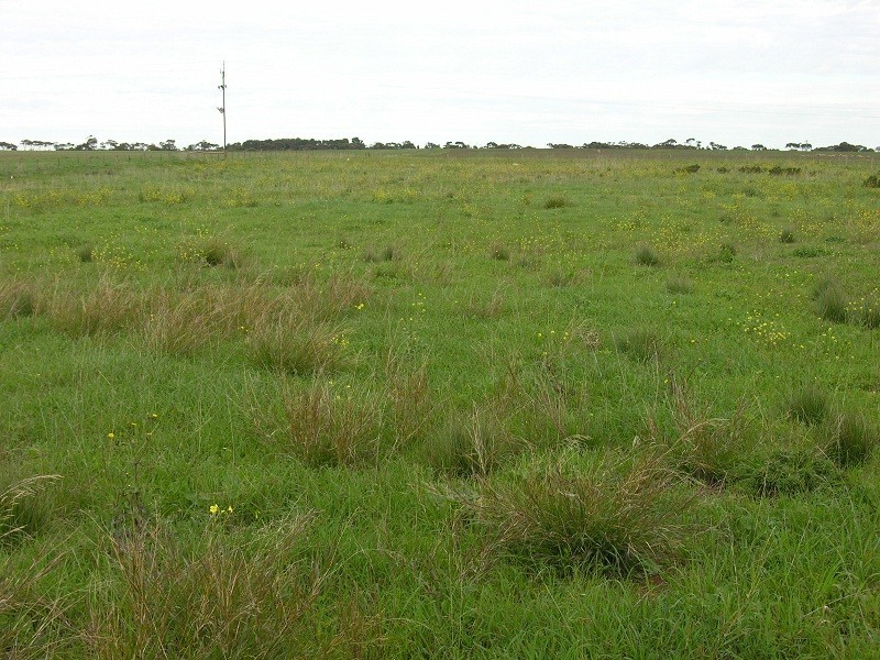 Lot 86 Ashwell Road, Wasleys SA 5400