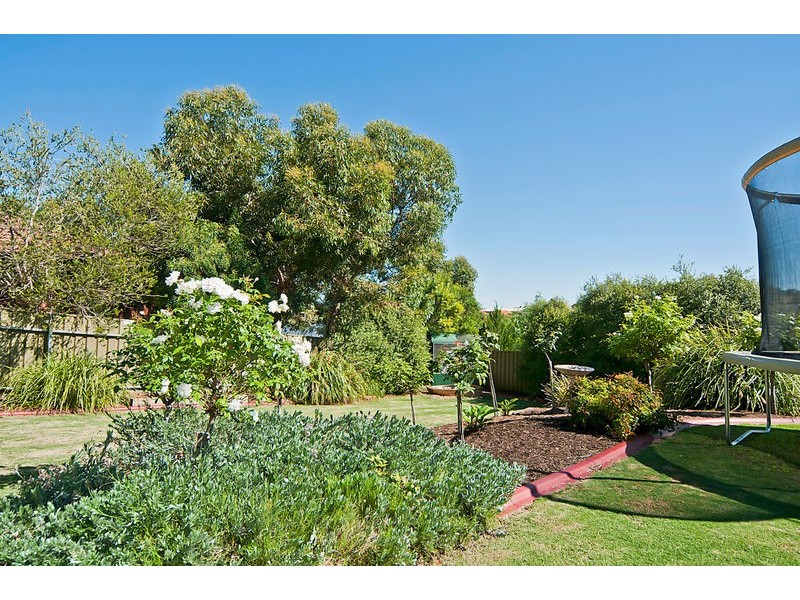 19 Wintulich Avenue, Gawler East SA 5118