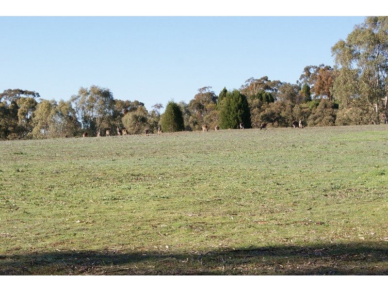 Lot 1 Goldfields Road, Cockatoo Valley SA 5351