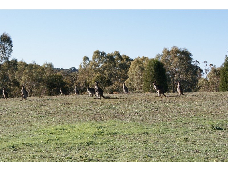 Lot 1 Goldfields Road, Cockatoo Valley SA 5351