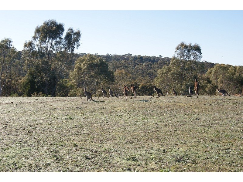 Lot 1 Goldfields Road, Cockatoo Valley SA 5351