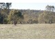 Lot 1 Goldfields Road, Cockatoo Valley SA 5351