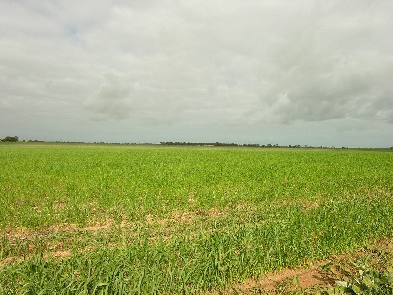 Lot 10 Old Dublin Road, Mallala SA 5502