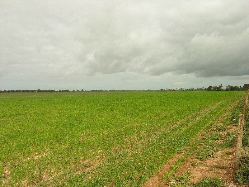 Lot 10 Old Dublin Road, Mallala SA 5502