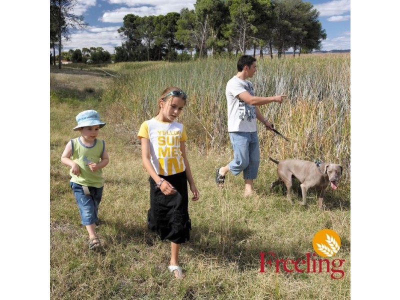 - Hanson Street, Freeling SA 5372