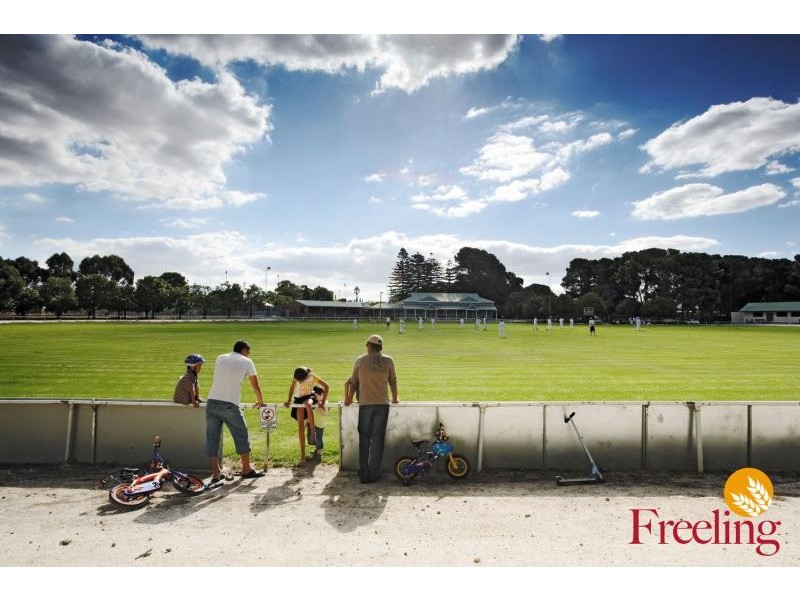 - Hanson Street, Freeling SA 5372