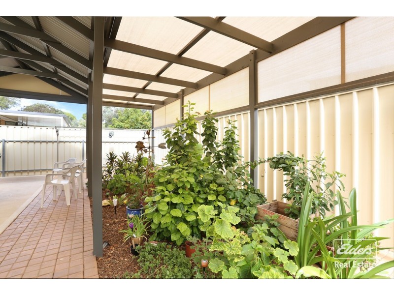 33A Brown Street, Willaston SA 5118